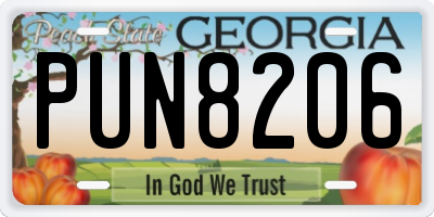 GA license plate PUN8206