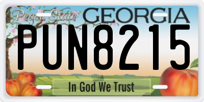 GA license plate PUN8215