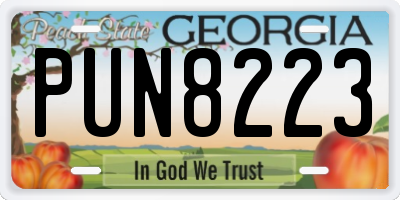 GA license plate PUN8223