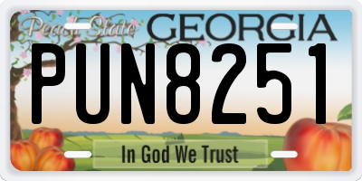 GA license plate PUN8251