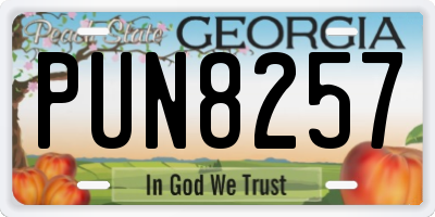 GA license plate PUN8257