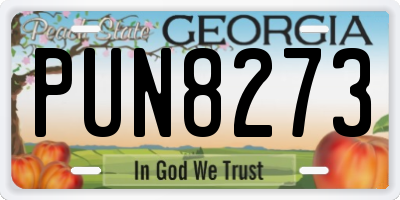 GA license plate PUN8273