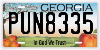 GA license plate PUN8335