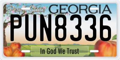GA license plate PUN8336