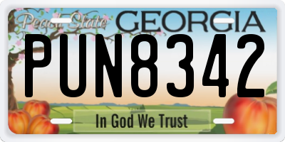 GA license plate PUN8342