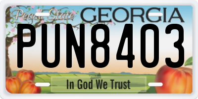 GA license plate PUN8403