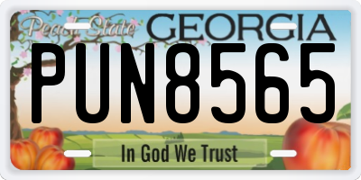 GA license plate PUN8565