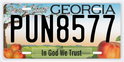 GA license plate PUN8577