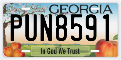 GA license plate PUN8591