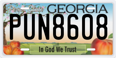 GA license plate PUN8608