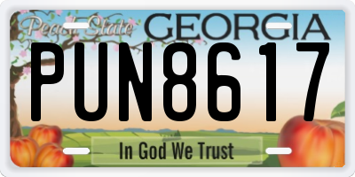 GA license plate PUN8617