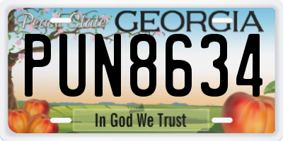 GA license plate PUN8634