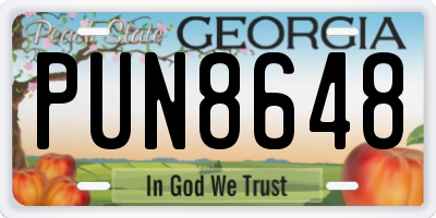 GA license plate PUN8648