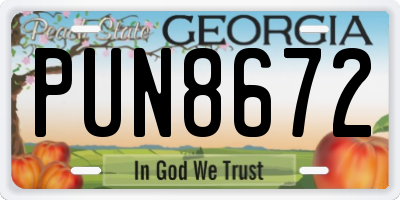 GA license plate PUN8672
