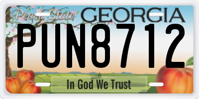 GA license plate PUN8712