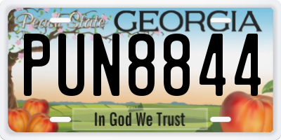 GA license plate PUN8844