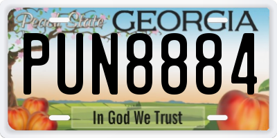 GA license plate PUN8884