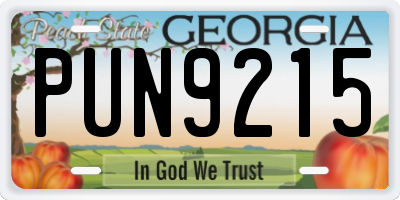 GA license plate PUN9215