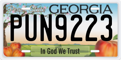 GA license plate PUN9223