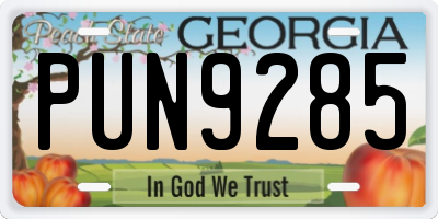 GA license plate PUN9285