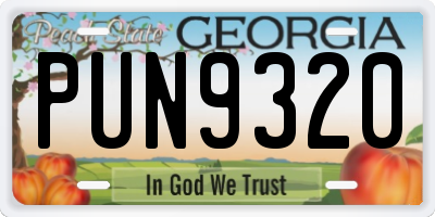 GA license plate PUN9320