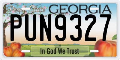 GA license plate PUN9327