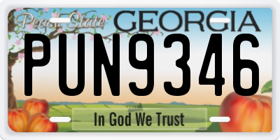 GA license plate PUN9346