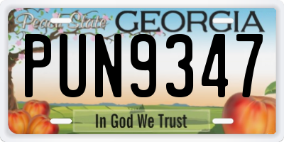 GA license plate PUN9347