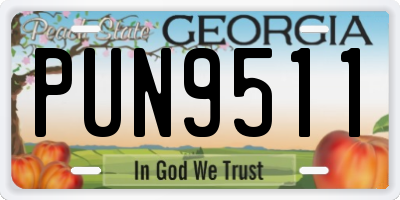 GA license plate PUN9511