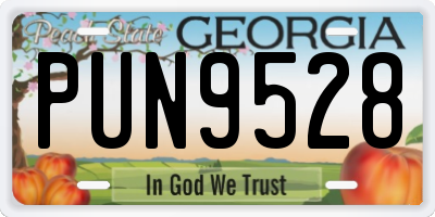 GA license plate PUN9528