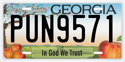 GA license plate PUN9571