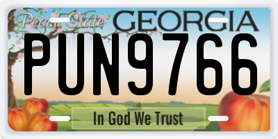 GA license plate PUN9766