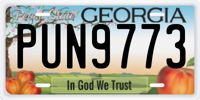 GA license plate PUN9773