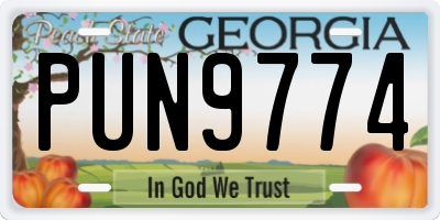 GA license plate PUN9774