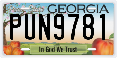 GA license plate PUN9781