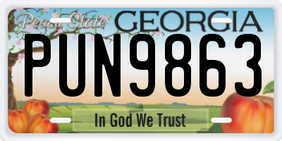 GA license plate PUN9863