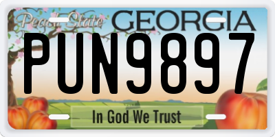 GA license plate PUN9897