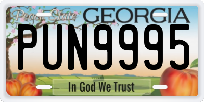 GA license plate PUN9995