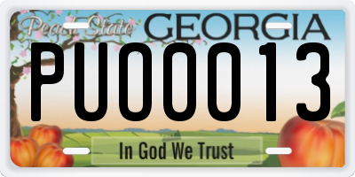 GA license plate PUO0013