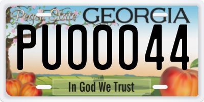 GA license plate PUO0044