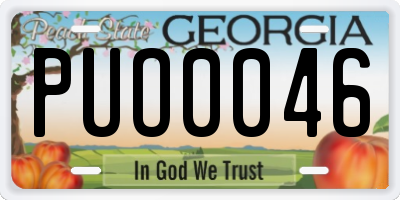 GA license plate PUO0046