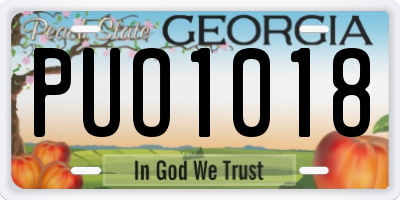 GA license plate PUO1018