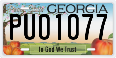 GA license plate PUO1077