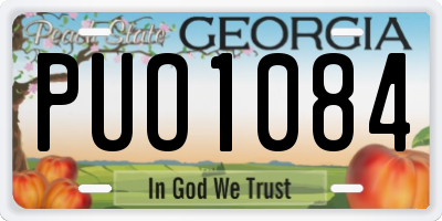 GA license plate PUO1084