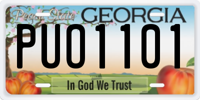 GA license plate PUO1101