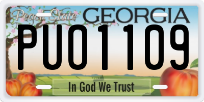 GA license plate PUO1109