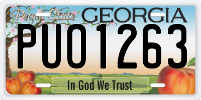 GA license plate PUO1263