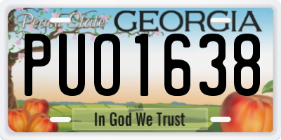 GA license plate PUO1638