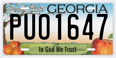 GA license plate PUO1647