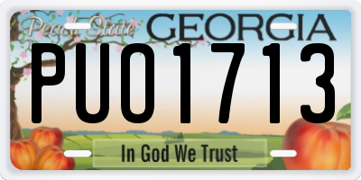 GA license plate PUO1713